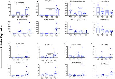 Interleukin-10 Delays Viral Clearance in the Placenta and Uterus of Mice With Acute Lymphocytic Choriomeningitis Virus Infection During Pregnancy
